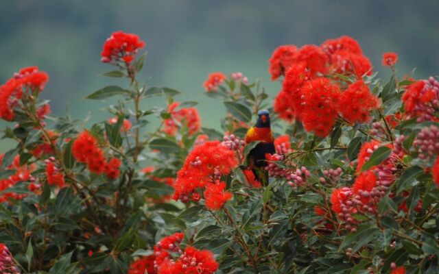 The Old School Bed and Breakfast