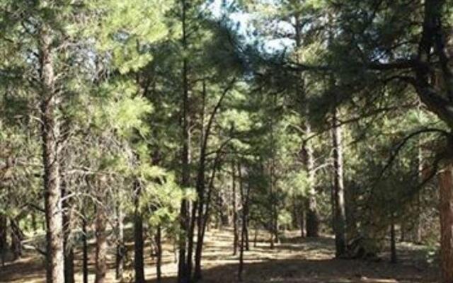 Whispering Pines Inn