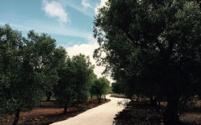 Fikus - the Apulian B&B