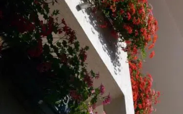 Apartments Villa Martinuzzi