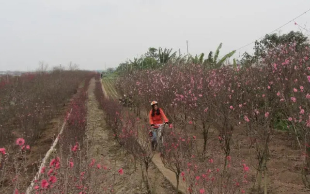 La La Farm