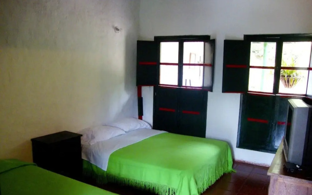 Eco Suits Verdes