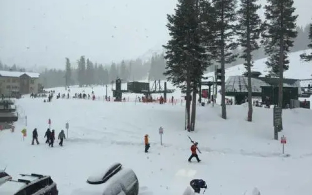 Sun Meadows