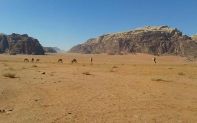 Wadi Rum Beduland Camp