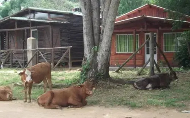 Cabañas Los Timbó