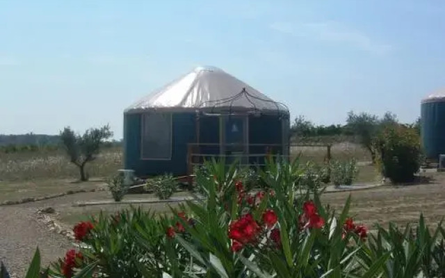Yourte insolite de l'hérault