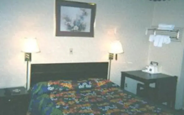 Essence Express Elizabeth EWR Airport