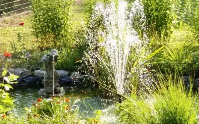 Farkas Piroska Vendégház