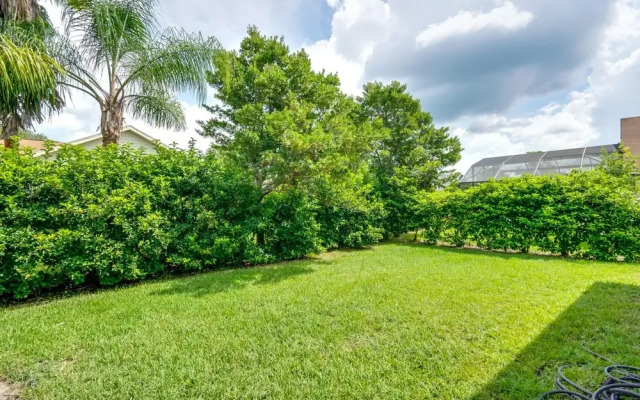 Orange Tree 3309