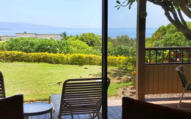 Wailea Ekolu #501