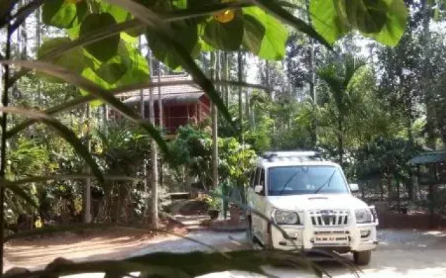 Wayanad Green Park