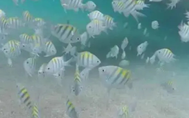 Pousada Corais dos Milagres