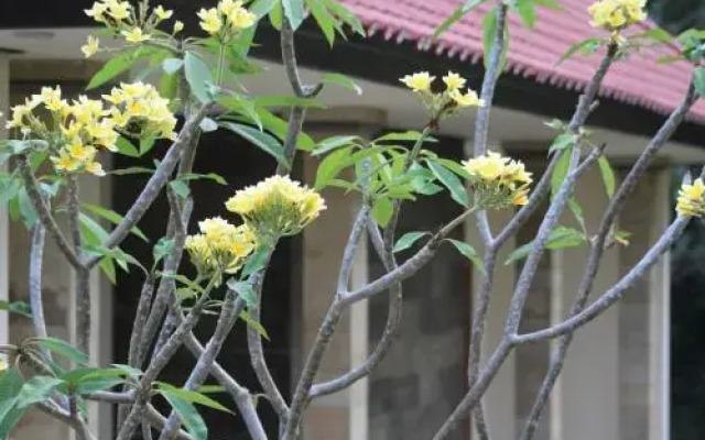 Lala Home Stay