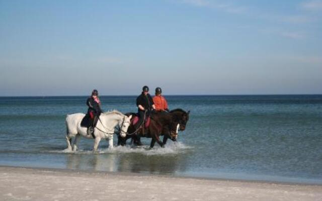 Ferienwohnung Ostseestrand Zingst