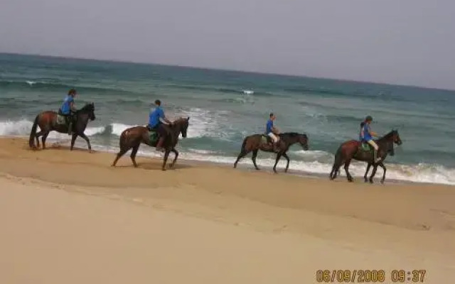 Centro Turismo Equestre BB Shangrila