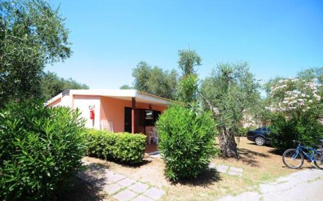 Villaggio Turistico Camping Parco Degli Ulivi