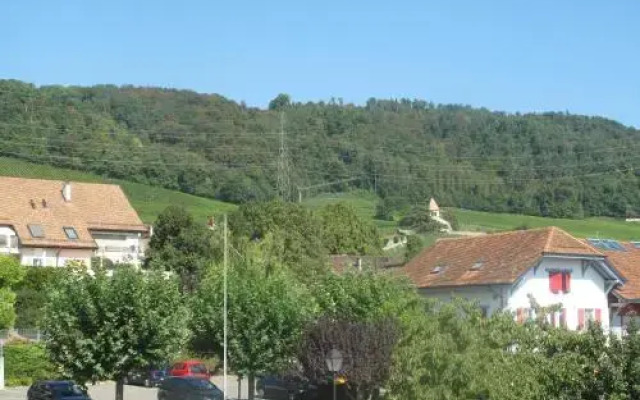 Cave Du Treyblanc
