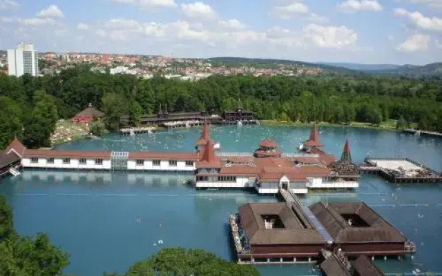 Villa-Erika Apartman