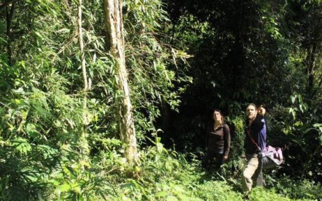 La Perla de la Selva Lodge