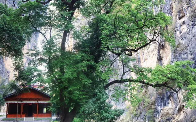 Shangri La Balagezong Lover Valley Hotel