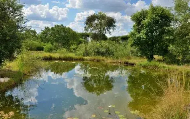 Muchenje Self Catering Cottages
