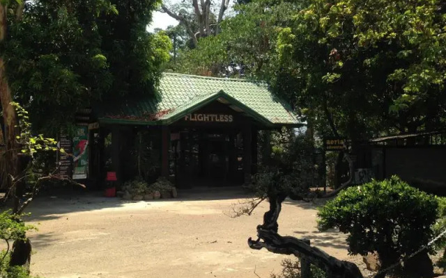 Jungle Environment Survival Training Jest Camp Dormitory