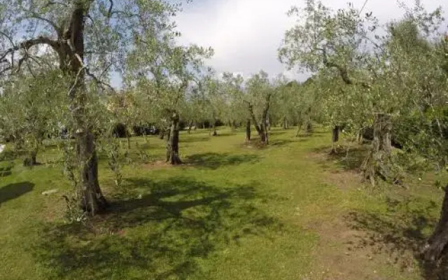 Appartamenti Malcesine Casa Vacanza Benamati