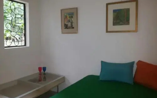 Casa Vikingo