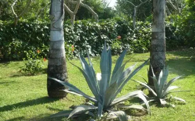 La Rosa de Los Vientos