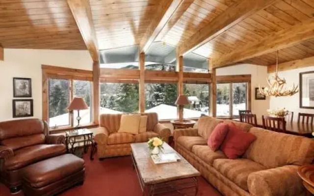 Aspen Shadow Mountain 14