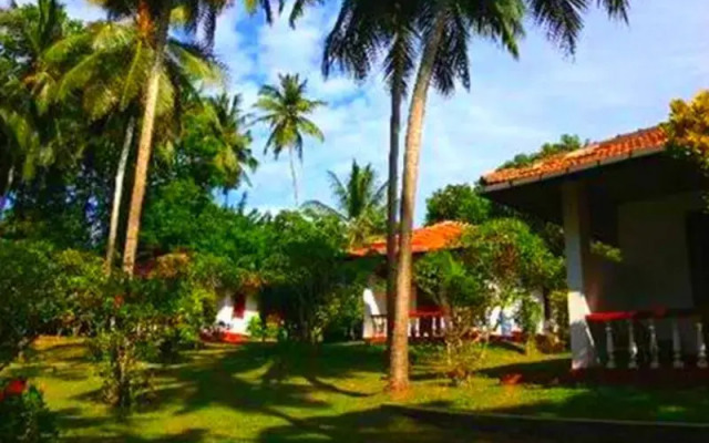 Rocky Point Beach Bungalows