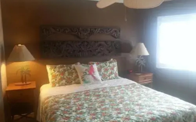 Kona Reef #d31 Lanai w/ Coastal Views