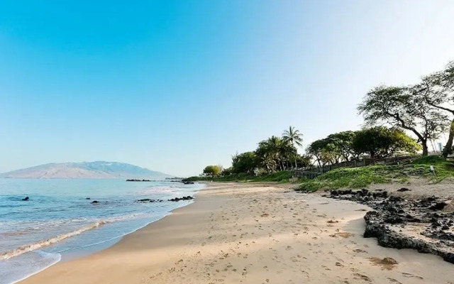Maui Kamaole #J-221