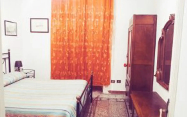 Stella's House