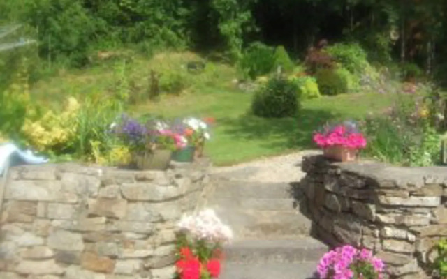 Elderberry B&B