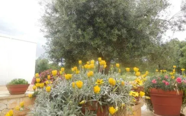 Masseria Pezze Galere