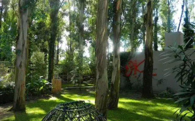 Cabañas Bosk