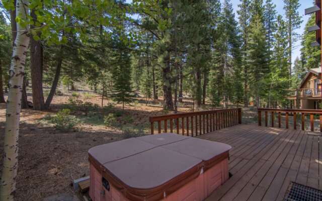 Wolf Tree by Red Awning