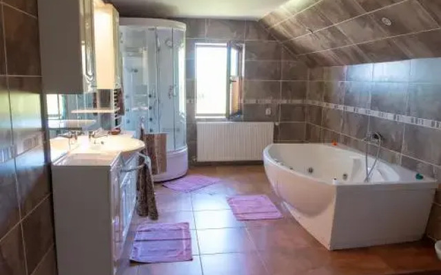 Casa Din Gradina Lui Ioan