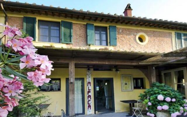 Alpaca Country House