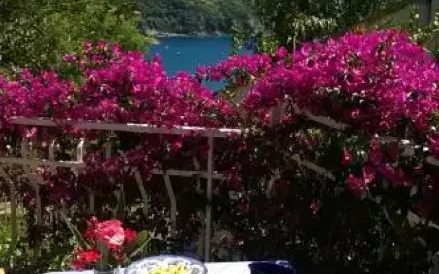 Bella Vista