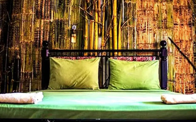 The Rabbit Tree - Hostel