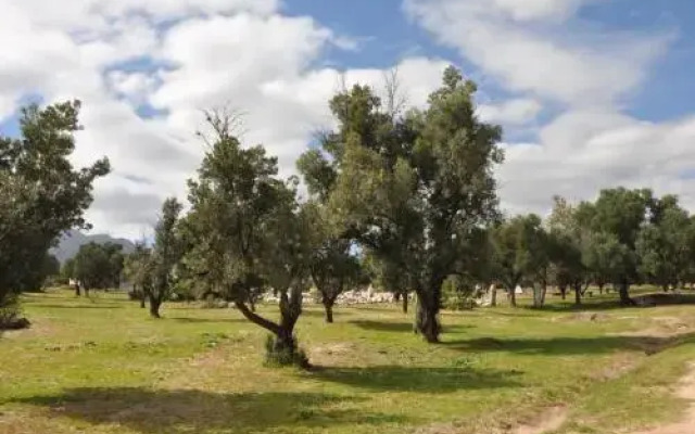 Cabañas del Quijote