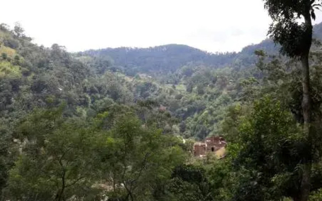 Raveena Guest House