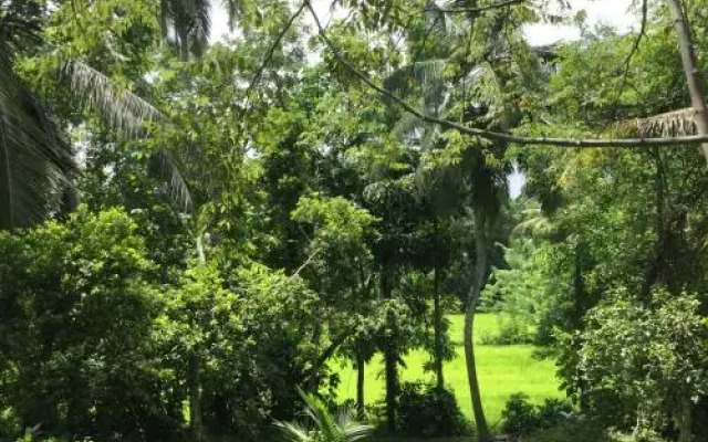Eco Breeze - Unawatuna