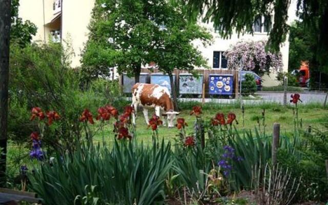 Hadassa Apartments Saba / Jona