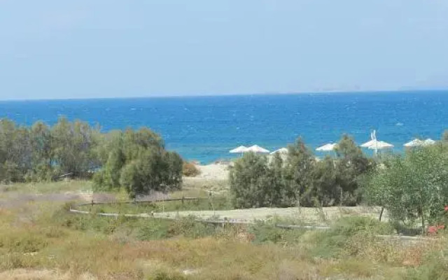 Tolakis Studios