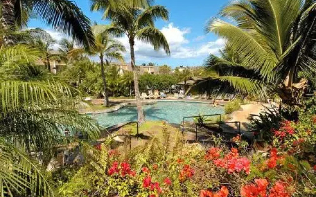 Maui Kamaole #D-107