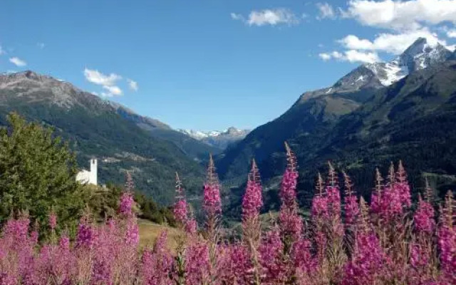 Résidence Le Tyrol
