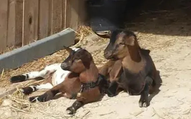 Agrituristica Soleluna